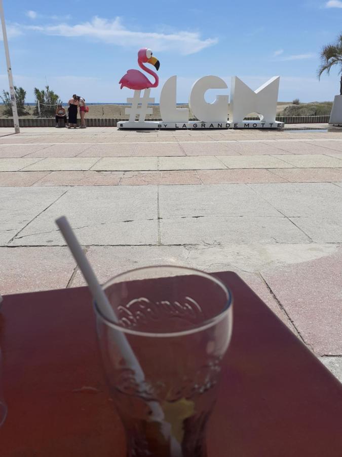Mes Vacances A La Mer Studio 4 Pers, Parking Prive, Wifi, Linges Fournis, Climatisation La Grande Motte Dış mekan fotoğraf